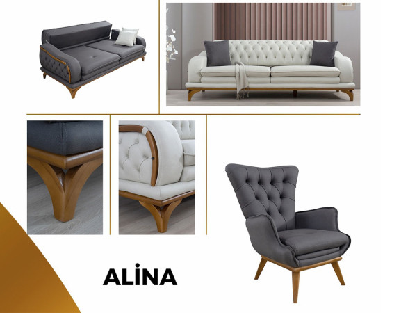 Alina Koltuk Takımı